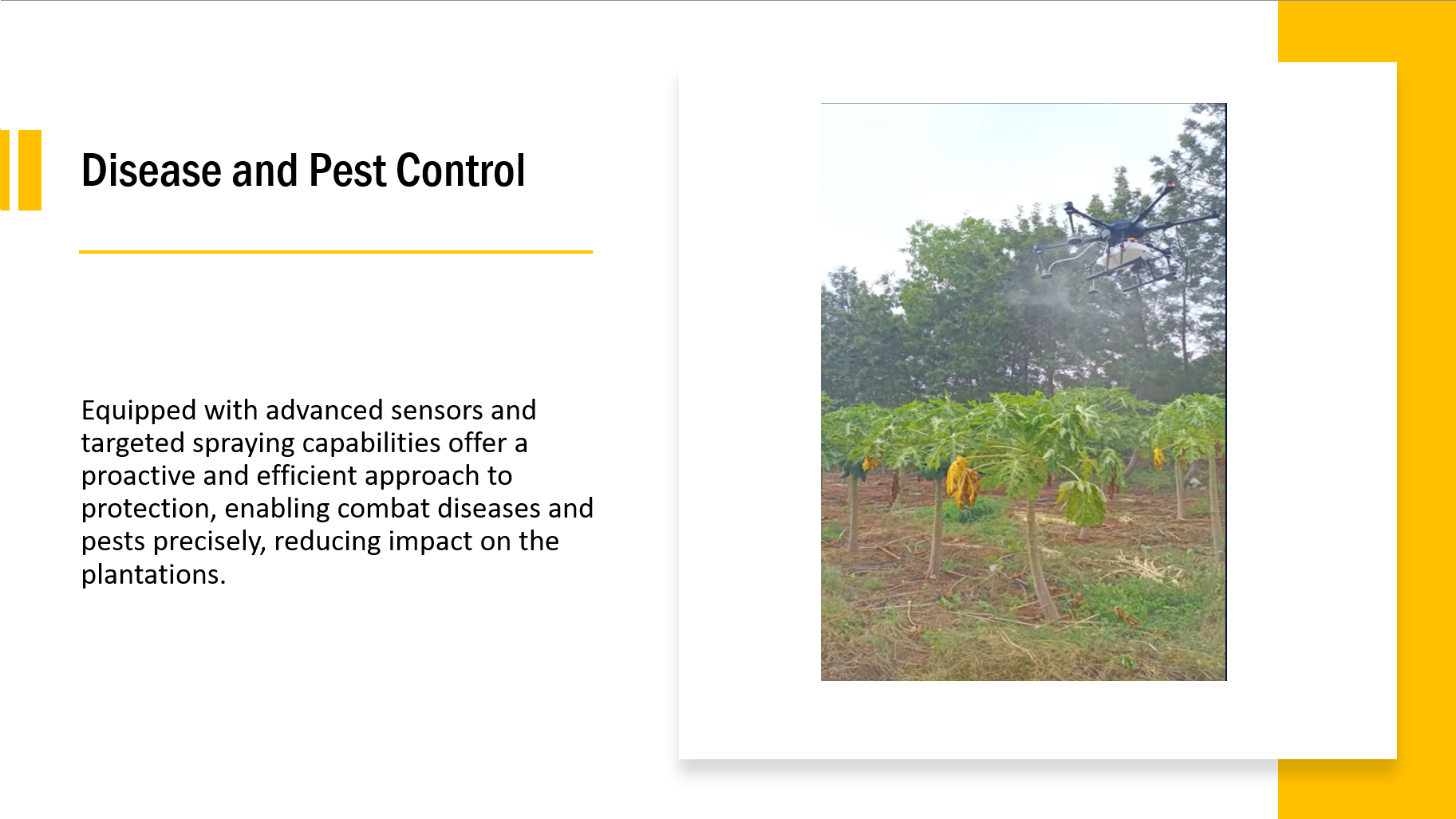 Disease and Pest Control